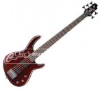 CORT-action_v