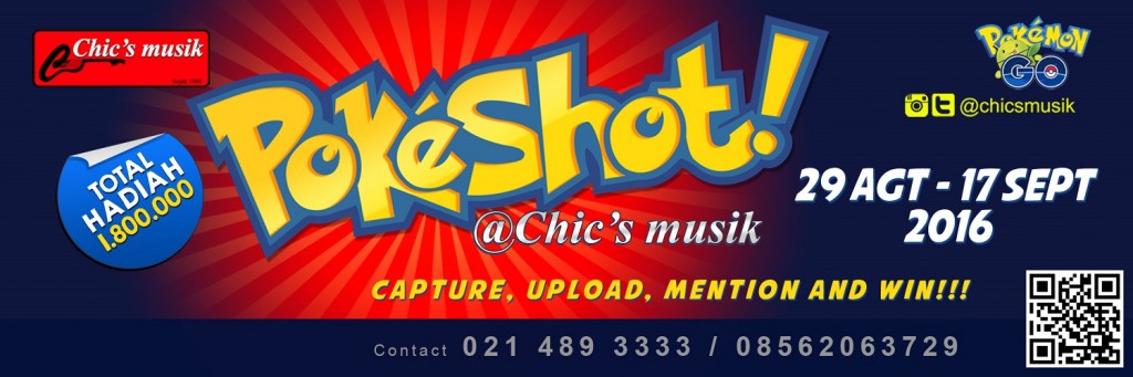 pokeshot chics musik